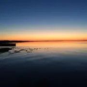 きょすの画像