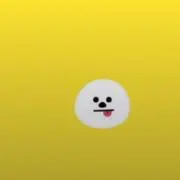 ピカルの画像