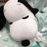 まゆみーぬ☆の画像