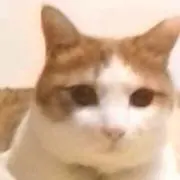 にゃんぱらりん