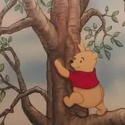 KUMAの画像