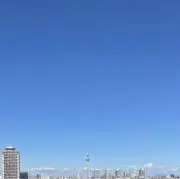木下の画像