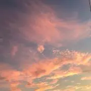 のんちの画像