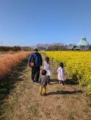 あおはる
