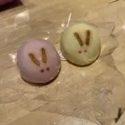 きーころ。の画像