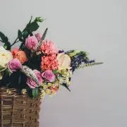 ちぃの画像