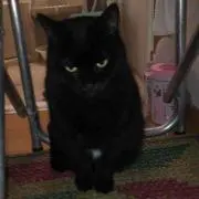 みつ