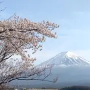 コレクター向け】第51回全国高校野球選手権 松山商業高校優勝記念皿