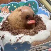 おまめさんの画像