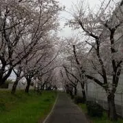 agonashi.com