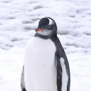 ズーミーくん