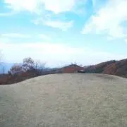 リンダマンの画像