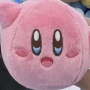 かびの画像