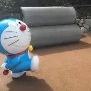 ようちゃんの画像