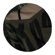 虎チャマの画像