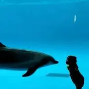 hiroの画像