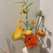 ｙｕｕの画像