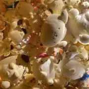 nyanの画像