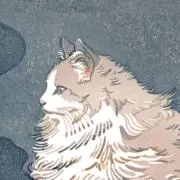 ねこの画像
