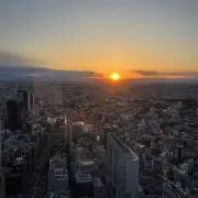 まの画像