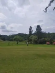 31の画像