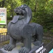 タピオカ