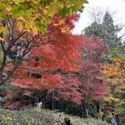tkr42の画像