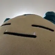 【まとめ買い強化】やすのはまの画像
