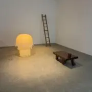 まとけの画像