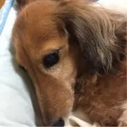 陸ママ