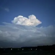 ゆうき