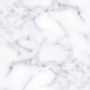 yの画像