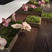 moqの画像