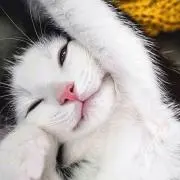 あーちゃん
