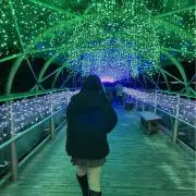 ぷりんの画像