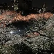 まりも