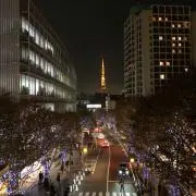 ぱぴの画像