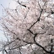 あい