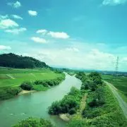 唯の画像