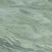 夏の画像