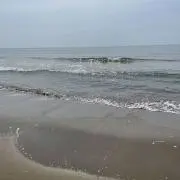 いのの画像