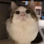 ☆えり☆の画像