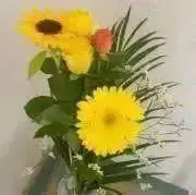 アルミナの画像