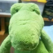 えだまめの画像