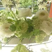 うっきーの画像