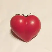 ぐるっぺ