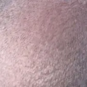 ひやま