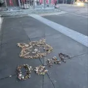 きりの画像