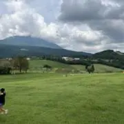 Sukeの画像