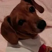 らら